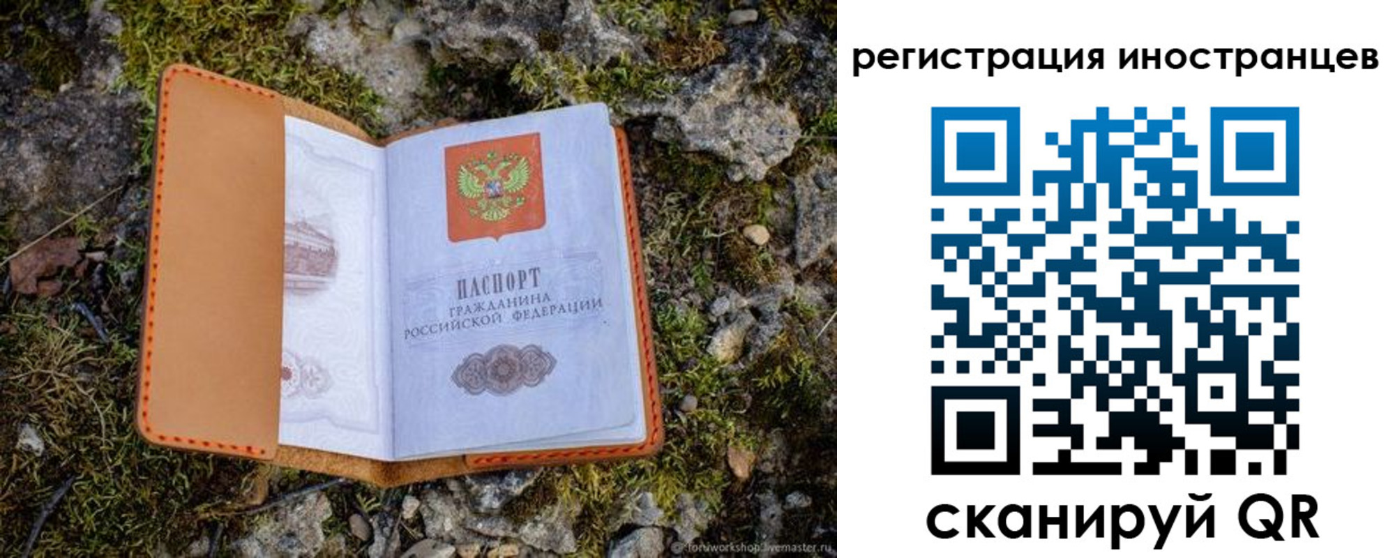 прописка паспорт в Гороховце
